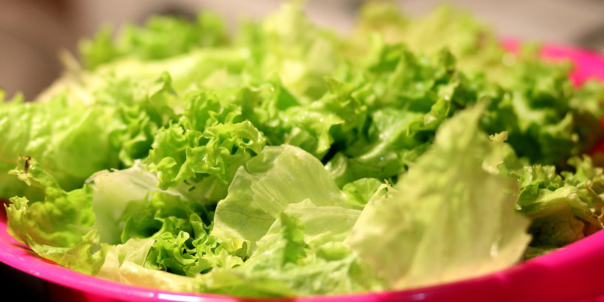 Bonduelle cede il ramo insalate pronte in Francia e Germania